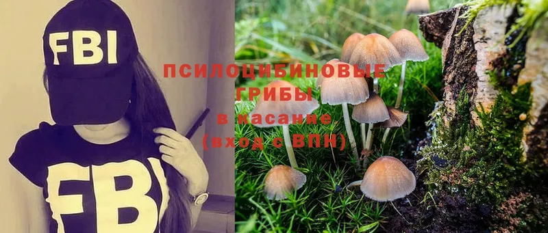 Галлюциногенные грибы Magic Shrooms  Усть-Лабинск 